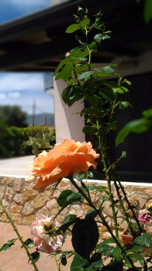 Penzion Casa Il Gelsomino Alcamo Exteriér fotografie